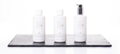 Image Description